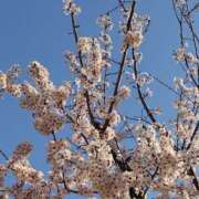 ヒメ日記 2025/03/23 18:18 投稿 結城 愛美 昼妻夜 滋賀店