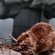 ヒメ日記 2025/04/23 00:48 投稿 結城 愛美 昼妻夜 滋賀店