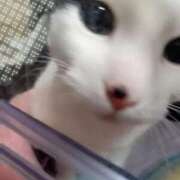 ヒメ日記 2025/05/21 23:12 投稿 結城 愛美 昼妻夜 滋賀店