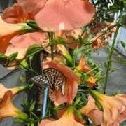 ヒメ日記 2025/06/30 22:18 投稿 結城 愛美 昼妻夜 滋賀店