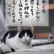 ヒメ日記 2025/07/11 07:33 投稿 結城 愛美 昼妻夜 滋賀店