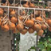 ヒメ日記 2025/07/20 13:12 投稿 結城 愛美 昼妻夜 滋賀店