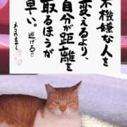 ヒメ日記 2025/08/01 06:33 投稿 結城 愛美 昼妻夜 滋賀店