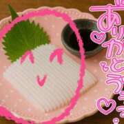 ヒメ日記 2025/09/11 21:27 投稿 結城 愛美 昼妻夜 滋賀店