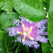 ヒメ日記 2025/09/17 18:57 投稿 結城 愛美 昼妻夜 滋賀店