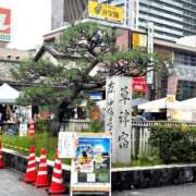 ヒメ日記 2025/09/20 16:42 投稿 結城 愛美 昼妻夜 滋賀店