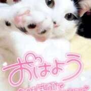 ヒメ日記 2025/09/22 07:36 投稿 結城 愛美 昼妻夜 滋賀店