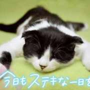 ヒメ日記 2025/09/30 07:33 投稿 結城 愛美 昼妻夜 滋賀店