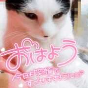 ヒメ日記 2025/10/21 08:45 投稿 結城 愛美 昼妻夜 滋賀店