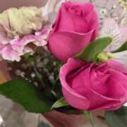 ヒメ日記 2025/11/06 16:18 投稿 結城 愛美 昼妻夜 滋賀店