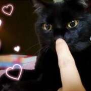 ヒメ日記 2025/11/11 07:33 投稿 結城 愛美 昼妻夜 滋賀店