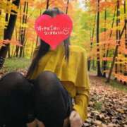 ヒメ日記 2025/11/29 12:18 投稿 結城 愛美 昼妻夜 滋賀店