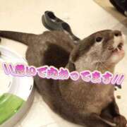 ヒメ日記 2025/12/20 15:33 投稿 結城 愛美 昼妻夜 滋賀店