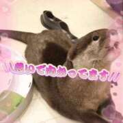 ヒメ日記 2025/12/26 01:03 投稿 結城 愛美 昼妻夜 滋賀店