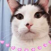 ヒメ日記 2026/02/08 12:18 投稿 結城 愛美 昼妻夜 滋賀店