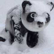 ヒメ日記 2026/02/08 18:42 投稿 結城 愛美 昼妻夜 滋賀店