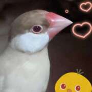 ヒメ日記 2026/03/07 23:48 投稿 結城 愛美 昼妻夜 滋賀店