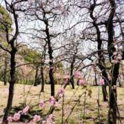 ヒメ日記 2026/03/08 15:33 投稿 結城 愛美 昼妻夜 滋賀店