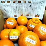 ヒメ日記 2026/03/09 18:27 投稿 結城 愛美 昼妻夜 滋賀店