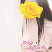 ヒメ日記 2026/03/31 15:48 投稿 結城 愛美 昼妻夜 滋賀店