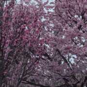 ヒメ日記 2026/04/02 20:48 投稿 結城 愛美 昼妻夜 滋賀店