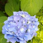ヒメ日記 2026/06/14 07:33 投稿 結城 愛美 昼妻夜 滋賀店