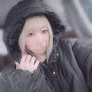 ヒメ日記 2025/03/19 11:53 投稿 あずみ 男爵