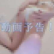 ヒメ日記 2025/07/05 12:23 投稿 あずみ 男爵