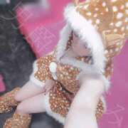 ヒメ日記 2025/12/24 16:13 投稿 あずみ 男爵