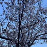 工藤 れいか お礼です。 30代40代50代と遊ぶなら博多人妻専科24時