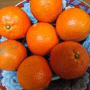 ヒメ日記 2025/12/25 10:00 投稿 吉沢 ぼた薔薇Ⅱ