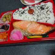 ヒメ日記 2026/05/08 11:44 投稿 吉沢 ぼた薔薇Ⅱ