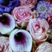 ヒメ日記 2025/09/10 11:22 投稿 阿部 ぼた薔薇Ⅱ