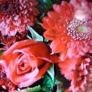 ヒメ日記 2025/09/13 17:30 投稿 阿部 ぼた薔薇Ⅱ