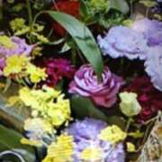 ヒメ日記 2025/09/15 11:56 投稿 阿部 ぼた薔薇Ⅱ