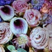 ヒメ日記 2025/09/17 16:38 投稿 阿部 ぼた薔薇Ⅱ