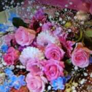 ヒメ日記 2025/09/21 10:24 投稿 阿部 ぼた薔薇Ⅱ