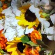 ヒメ日記 2025/09/24 11:32 投稿 阿部 ぼた薔薇Ⅱ