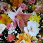 ヒメ日記 2025/10/01 11:26 投稿 阿部 ぼた薔薇Ⅱ