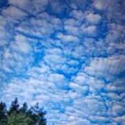 ヒメ日記 2025/10/03 11:10 投稿 阿部 ぼた薔薇Ⅱ