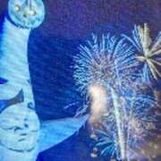 ヒメ日記 2025/10/12 10:26 投稿 阿部 ぼた薔薇Ⅱ