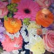 ヒメ日記 2025/10/17 11:12 投稿 阿部 ぼた薔薇Ⅱ