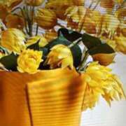 ヒメ日記 2025/10/22 09:44 投稿 阿部 ぼた薔薇Ⅱ