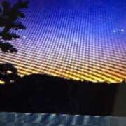 ヒメ日記 2025/10/26 11:24 投稿 阿部 ぼた薔薇Ⅱ