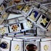 ヒメ日記 2025/10/29 15:22 投稿 阿部 ぼた薔薇Ⅱ