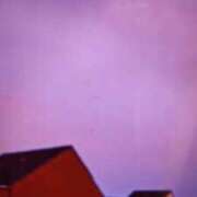 ヒメ日記 2025/11/07 10:18 投稿 阿部 ぼた薔薇Ⅱ