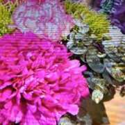 ヒメ日記 2025/11/14 11:08 投稿 阿部 ぼた薔薇Ⅱ