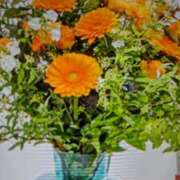 ヒメ日記 2025/11/16 10:38 投稿 阿部 ぼた薔薇Ⅱ