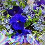 ヒメ日記 2025/11/19 10:08 投稿 阿部 ぼた薔薇Ⅱ