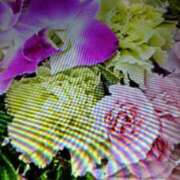 ヒメ日記 2025/11/21 09:32 投稿 阿部 ぼた薔薇Ⅱ